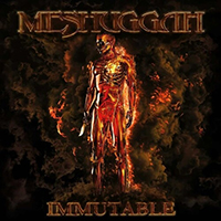 Meshuggah- Immutable 2xLP