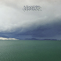 Modest Mouse- The Fruit That Ate Itself LP