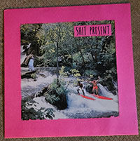 Shit Present- S/T 12" (USED)