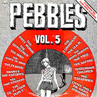 V/A- Pebbles Volume 5, Original Artyfacts From The First Punk Era LP