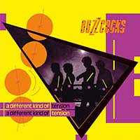 Buzzcocks- A Different Kind Of Tension LP (Comes With Booklet)