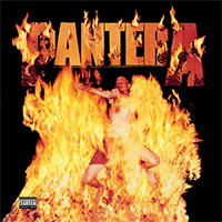 Pantera- Reinventing The Steel LP (180gram Vinyl)