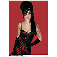 Amy Winehouse- Dublin 2007 poster (A1)