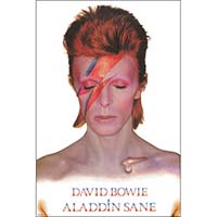 David Bowie- Aladdin Sane poster (A8)