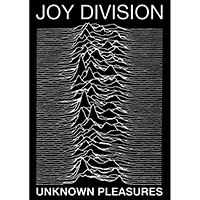 Joy Division- Unknown Pleasures poster (A10)