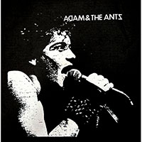 Adam & The Ants- Live Pic back patch