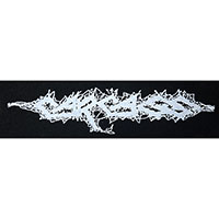 Carcass- Logo cloth patch (cp387)