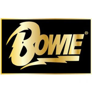 David Bowie- Logo Stick Back Enamel Pin (MP227)