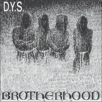 DYS- Brotherhood LP