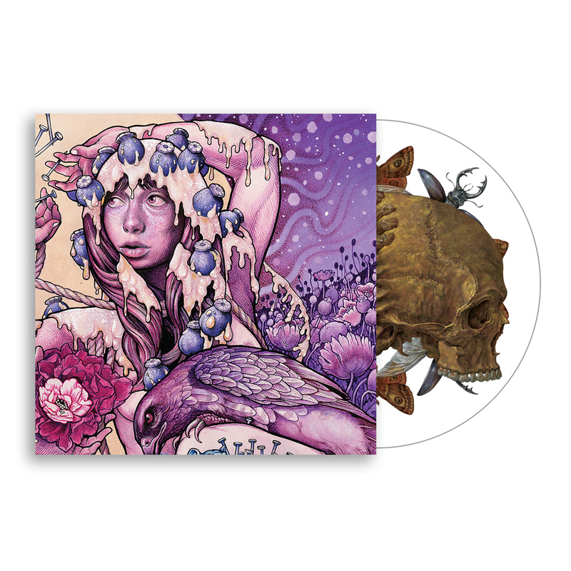 Baroness- Try To Disappear 12" Picture Disc (Sale price!)