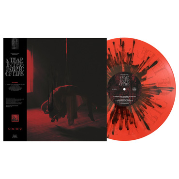 Knocked Loose- A Tear In The Fabric Of Life LP (Indie Exclusive Blood ...