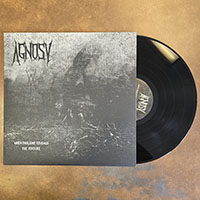 Agnosy- When Daylight Reveals The Torture LP (USED)