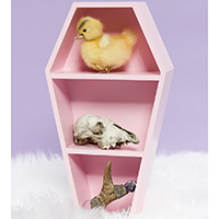 Pink 3 Tier Coffin Shelf by Sourpuss