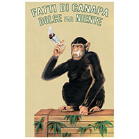 Chimp With Joint poster