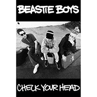 Beastie Boys- Check Your Head poster