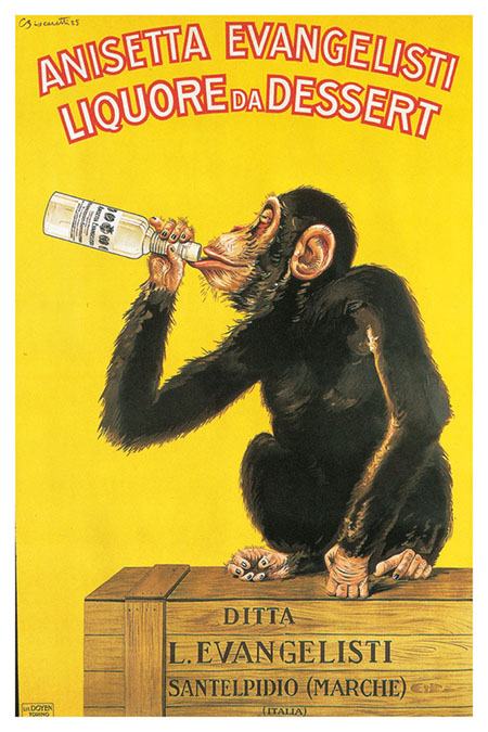 Anisetta Chimp poster