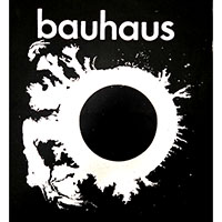 Bauhaus- The Sky's Gone Out back patch