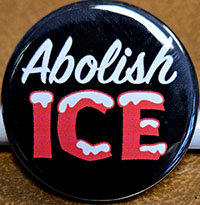 Abolish ICE pin (pi...