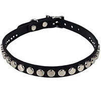 1 Row Of Nailhead Studs on a Black Leather Choker by Funk Plus
