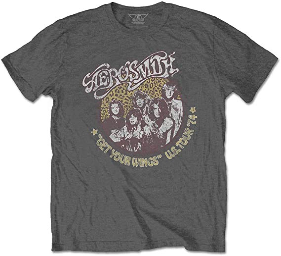 Aerosmith- Get Your Wings US Tour 74 on a grey shirt