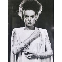 Bride of Frankenstein - Elsa Lanchester - Half Body with Arms on Chest- Fine Art Print by Annex