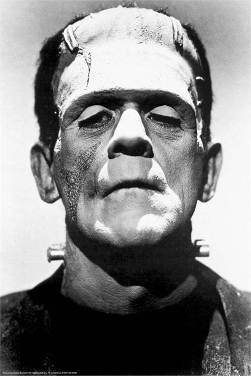 Frankenstein- Face poster